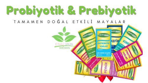 Probiyotik, Prebiyotik Nedir? Neden Kullanmalıyız?